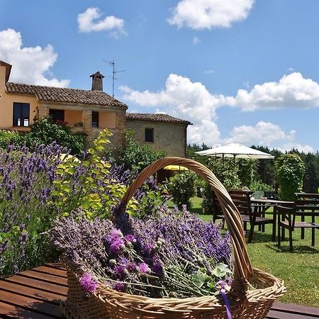 Agriturismo Monterosello Читта-ди-Кастелло Экстерьер фото