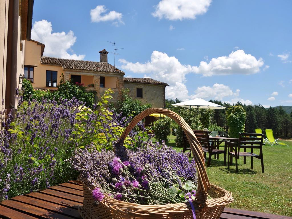 Agriturismo Monterosello Читта-ди-Кастелло Экстерьер фото